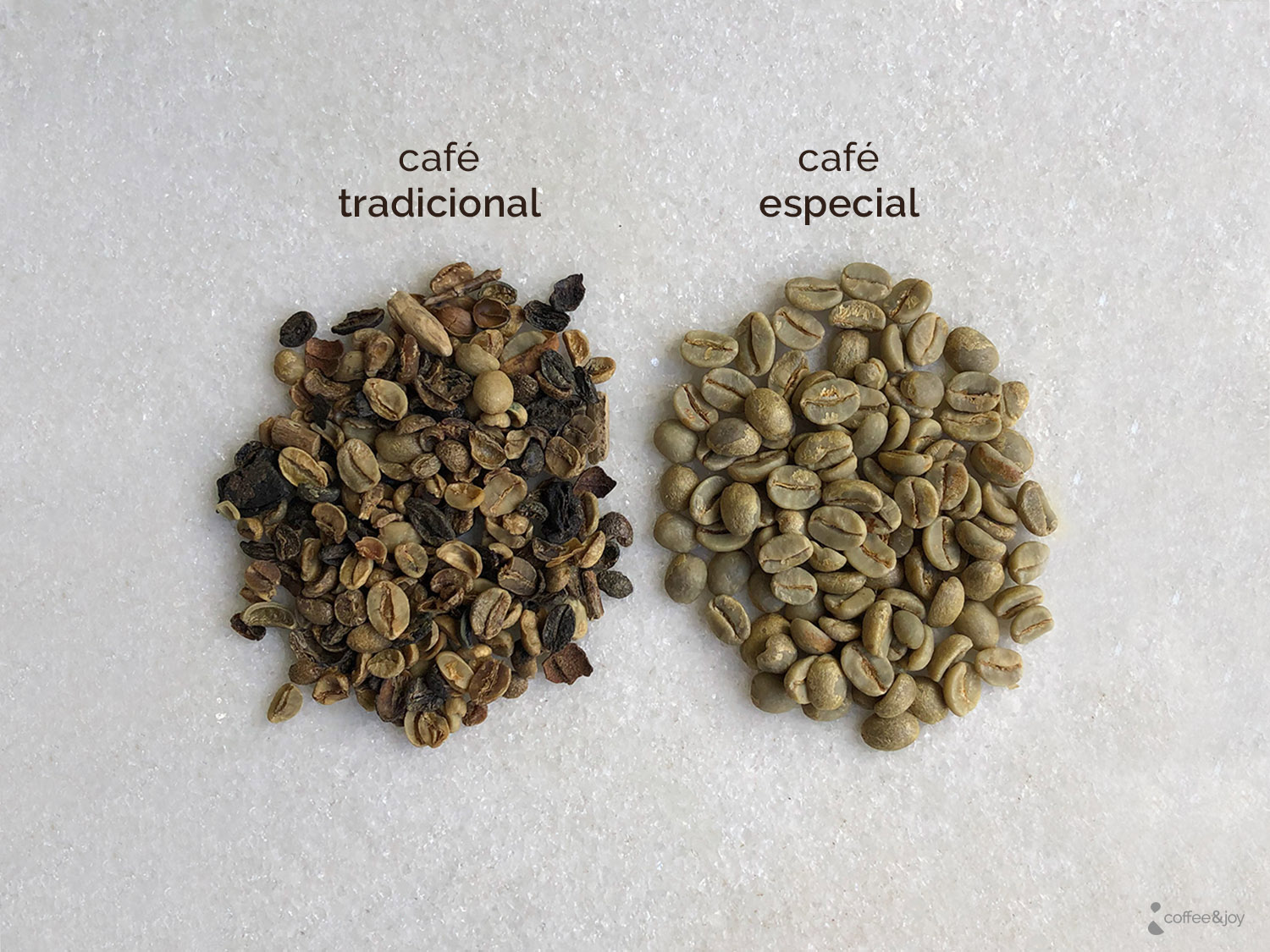 Cafés Especiais vs. Cafés Comerciais: Quais as Diferenças?